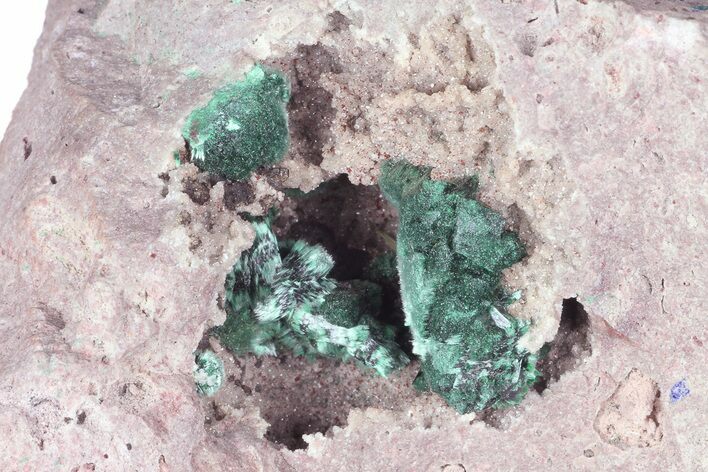 Fibrous Green Malachite Crystals & Azurite on Matrix - Morocco #184055